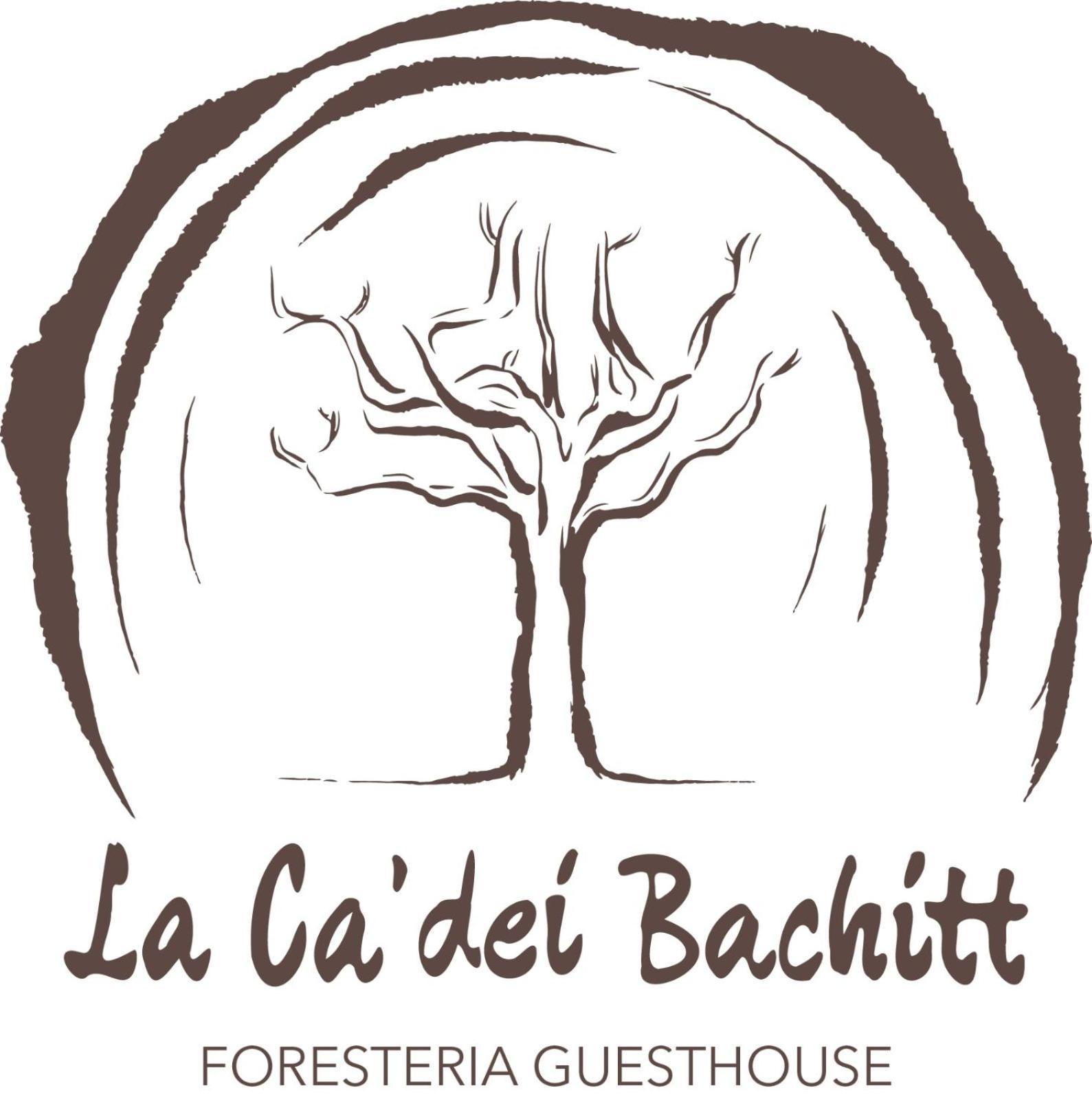 Foresteria Guesthouse Ca' Dei Bachitt Lierna Exterior photo